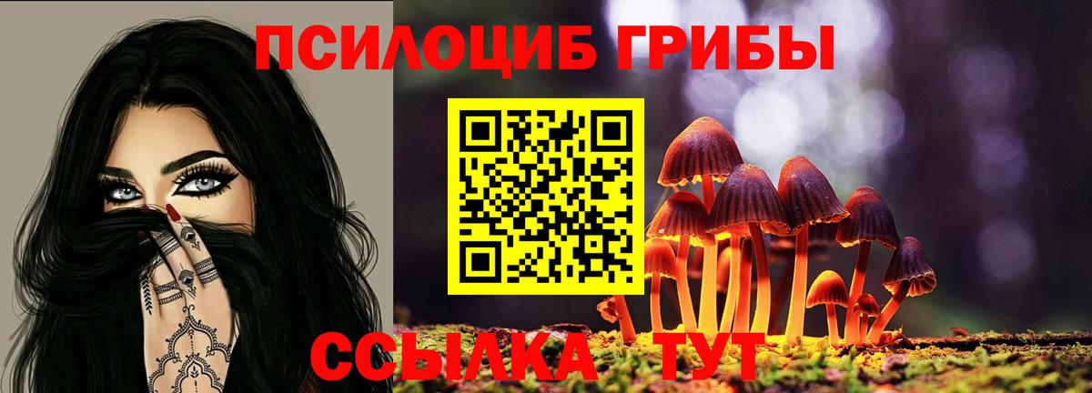 Псилоцибиновые грибы Cubensis  Вход с VPN  Псилоцибиновые грибы мухоморы  Сыктывкар 